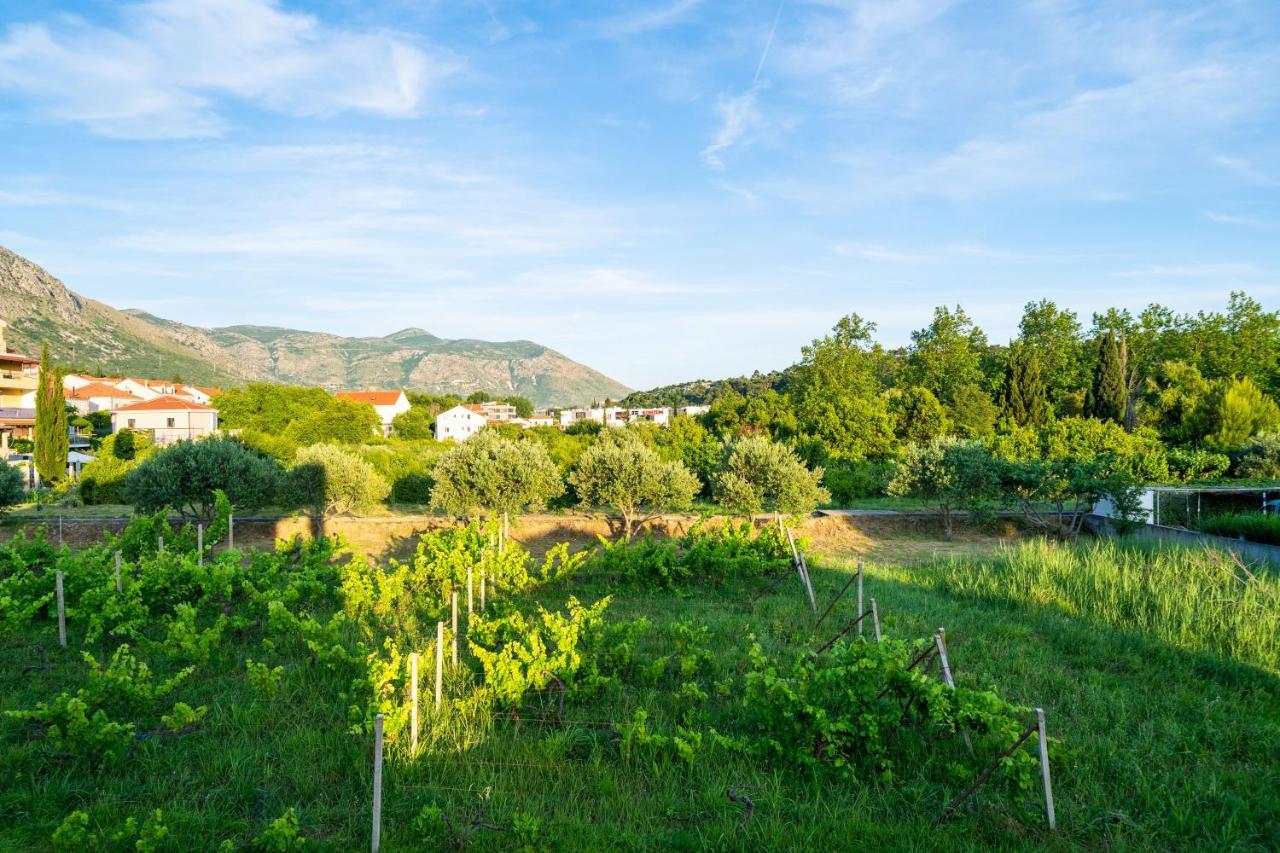 Appartamento Olive Family House Mlini Esterno foto